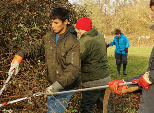 Gardening for people with disability